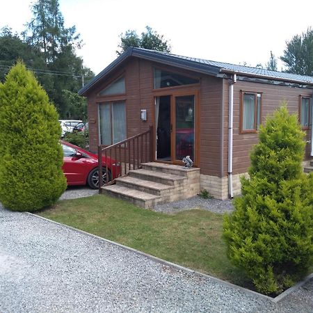 Squirrel Lodge Clearwell Bagian luar foto