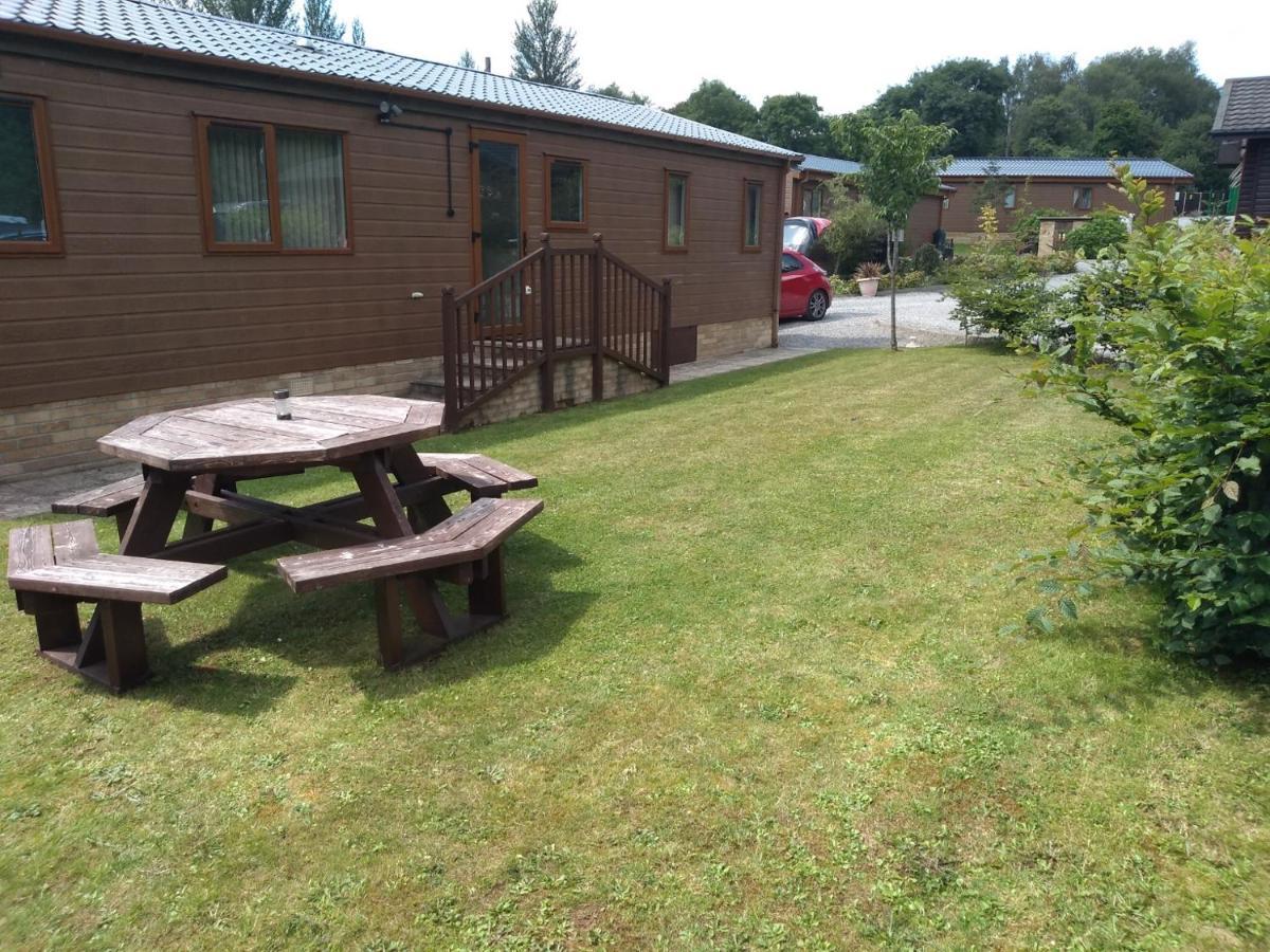Squirrel Lodge Clearwell Bagian luar foto